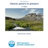 IJsland: geisers en gletsjers